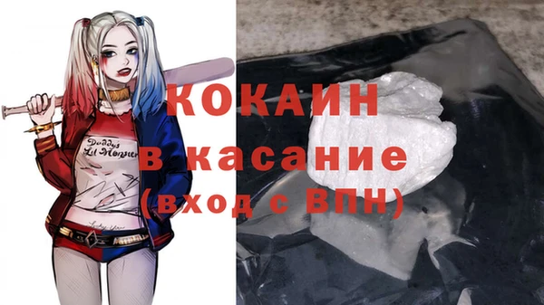 молекула духа Алексеевка