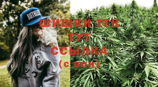 молекула духа Алексеевка