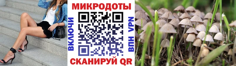 Псилоцибиновые грибы Cubensis даркнет сайт Краснотурьинск
